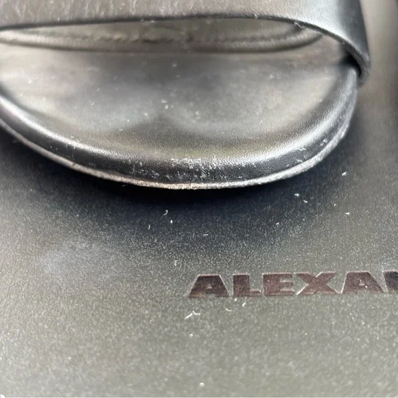 Alexander Wang Abby Cut Out Sandals, Black Leather Silver Hardware, Size 38/7.5 - Picture 8 of 13